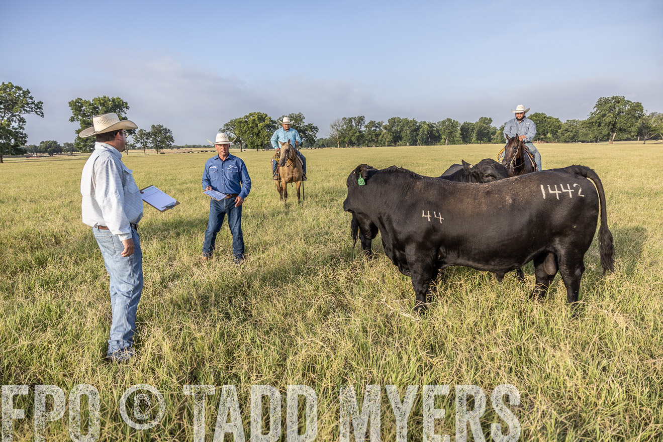 TMyers_44Farms_CameronTX_July2022--522974