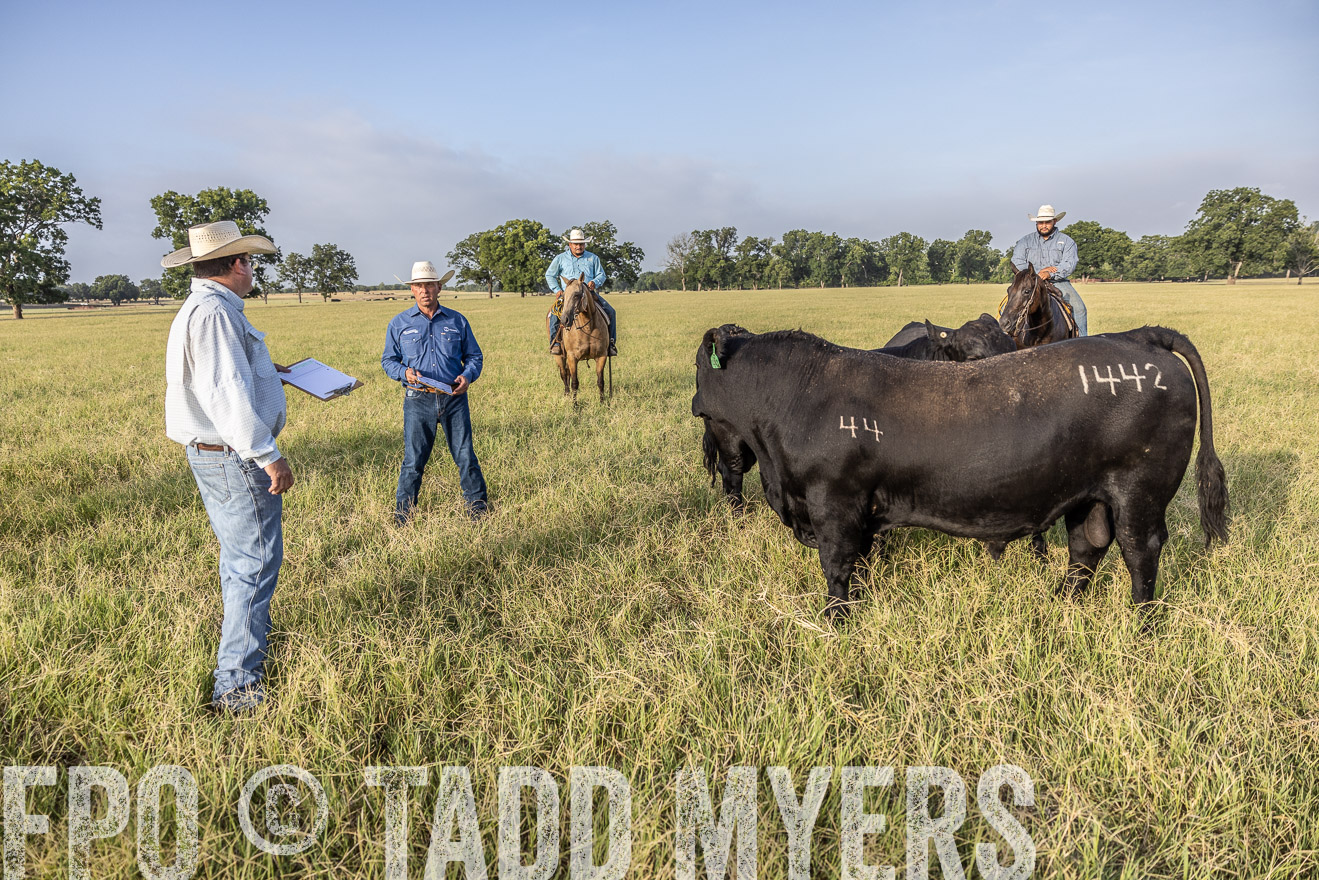 TMyers_44Farms_CameronTX_July2022--522975