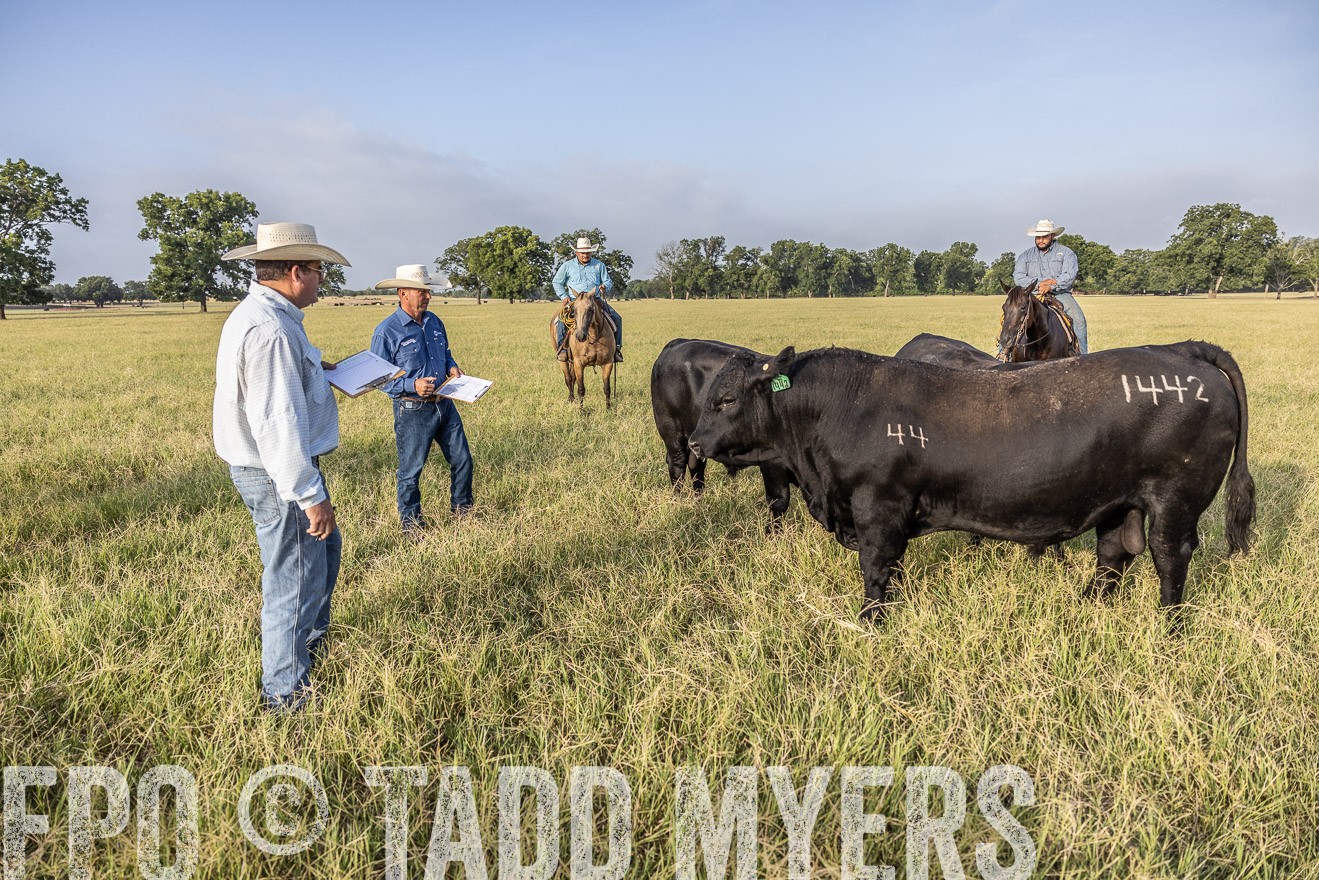 TMyers_44Farms_CameronTX_July2022--522979