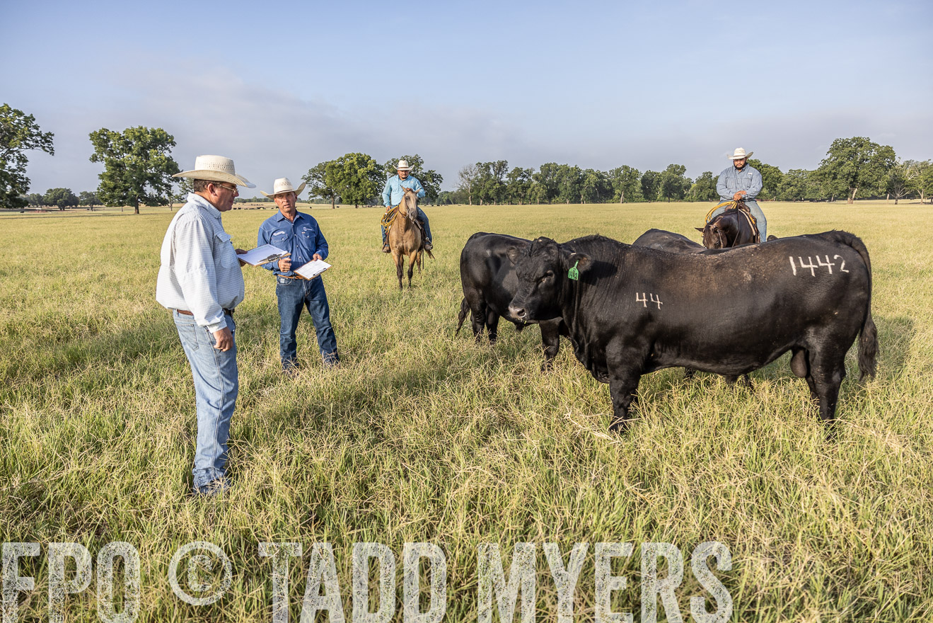 TMyers_44Farms_CameronTX_July2022--522981