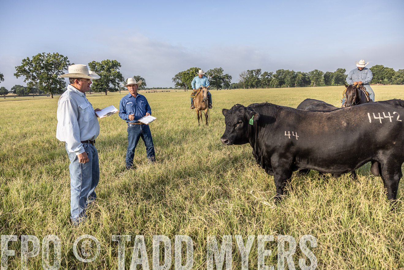 TMyers_44Farms_CameronTX_July2022--522983