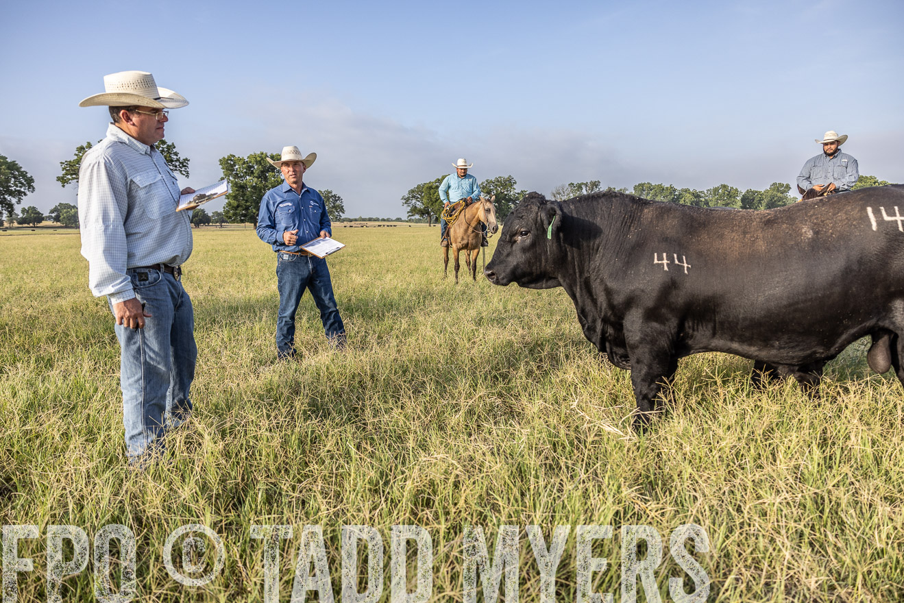 TMyers_44Farms_CameronTX_July2022--522985