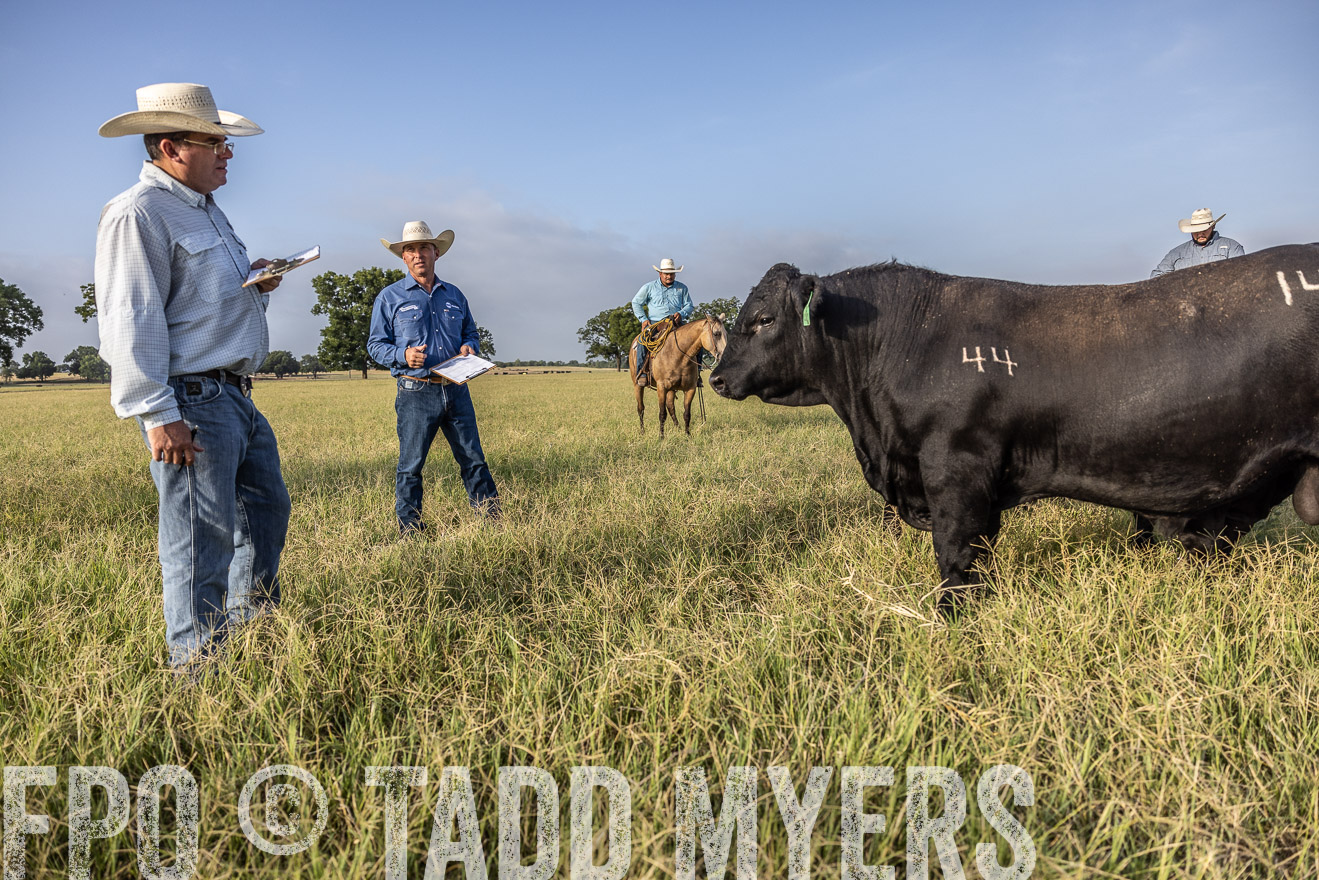 TMyers_44Farms_CameronTX_July2022--522986