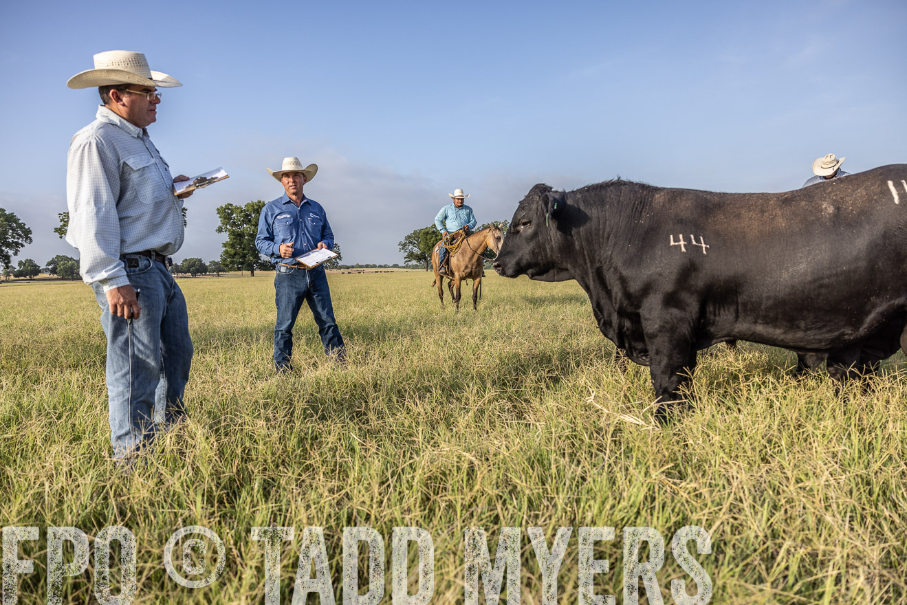 TMyers_44Farms_CameronTX_July2022--522987