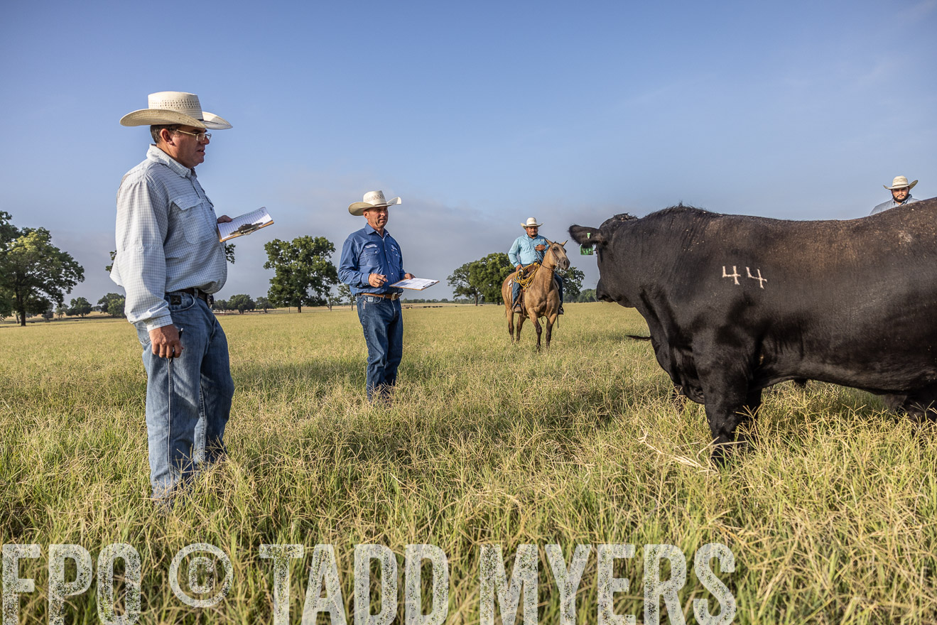 TMyers_44Farms_CameronTX_July2022--522991