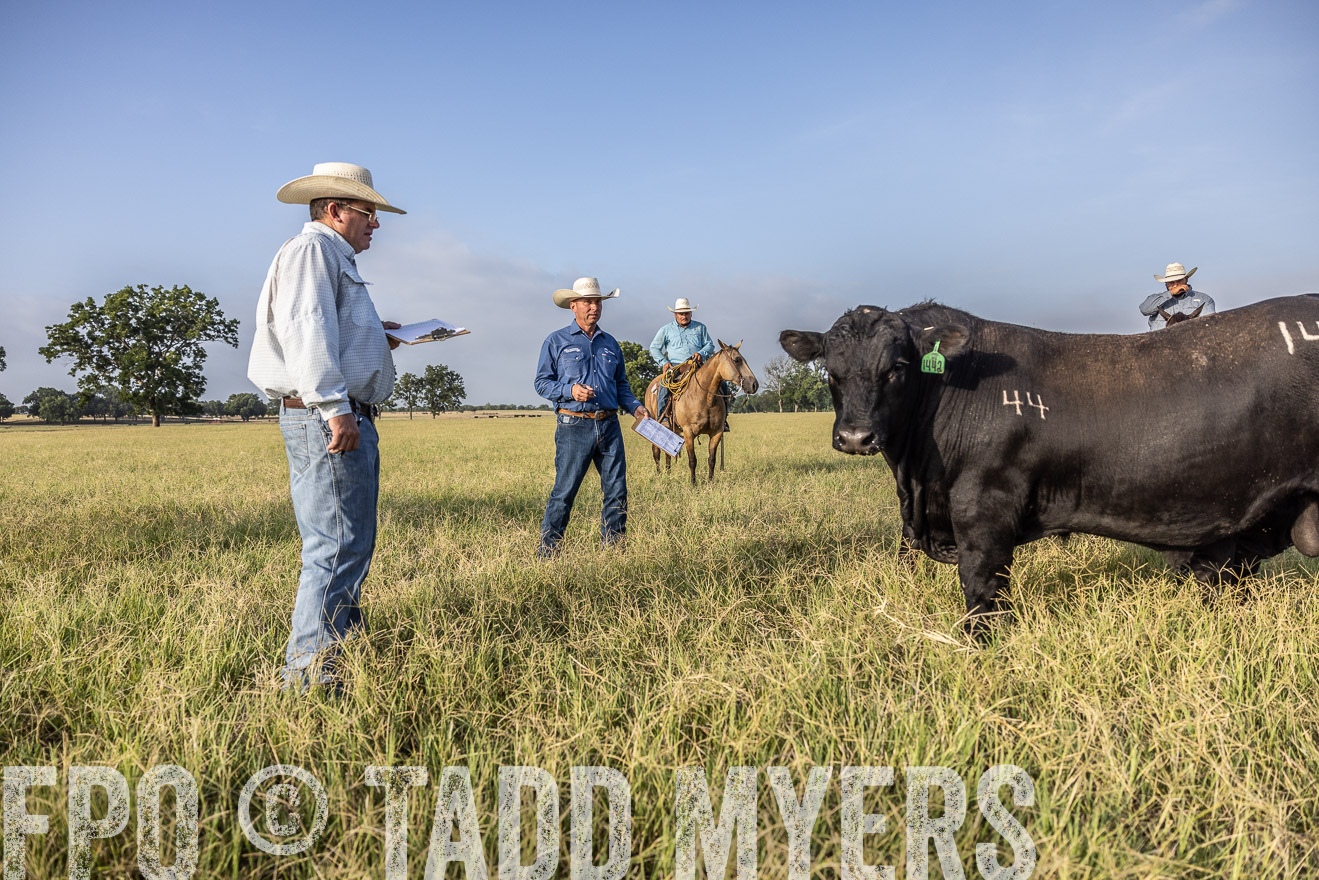 TMyers_44Farms_CameronTX_July2022--522997