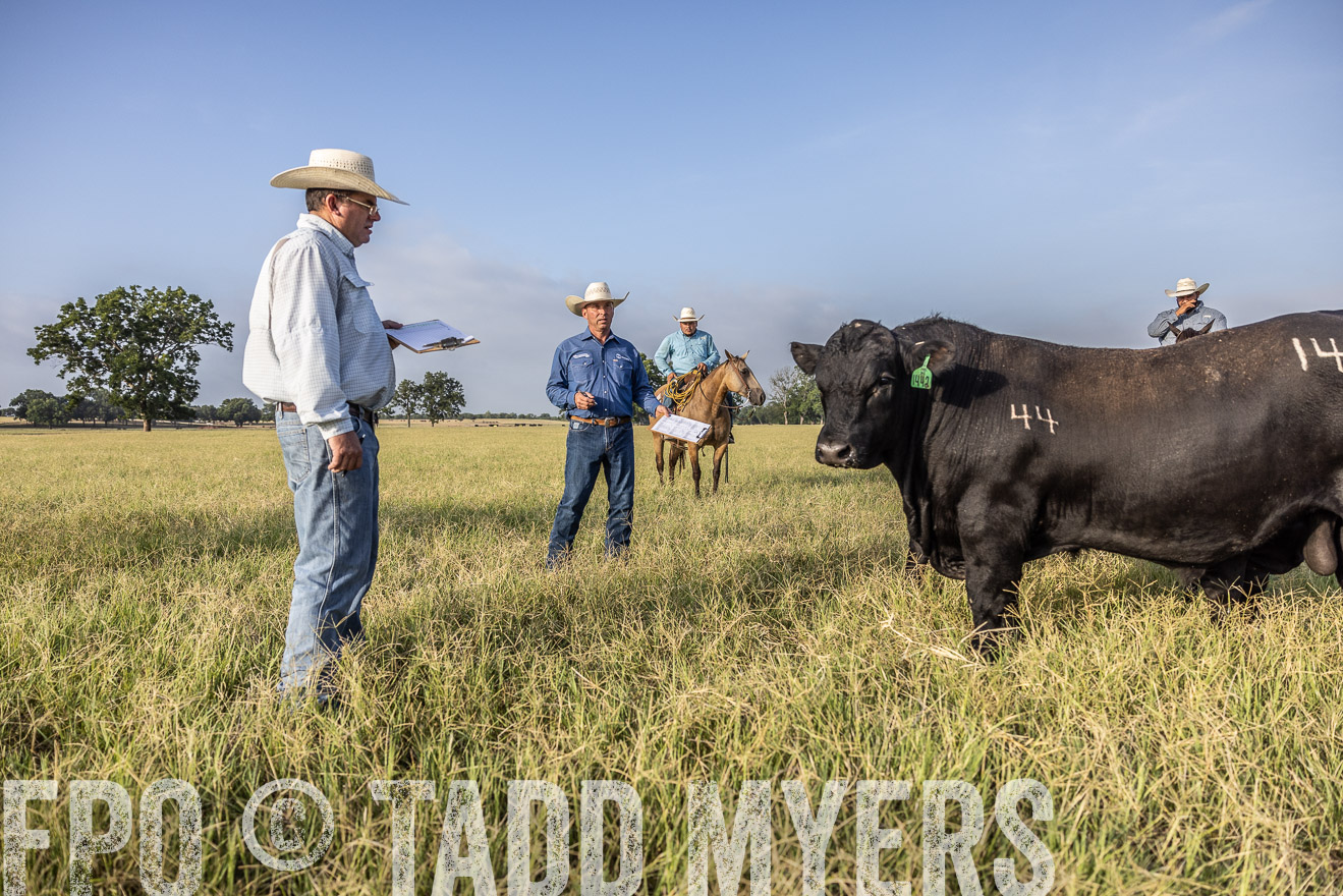 TMyers_44Farms_CameronTX_July2022--522999