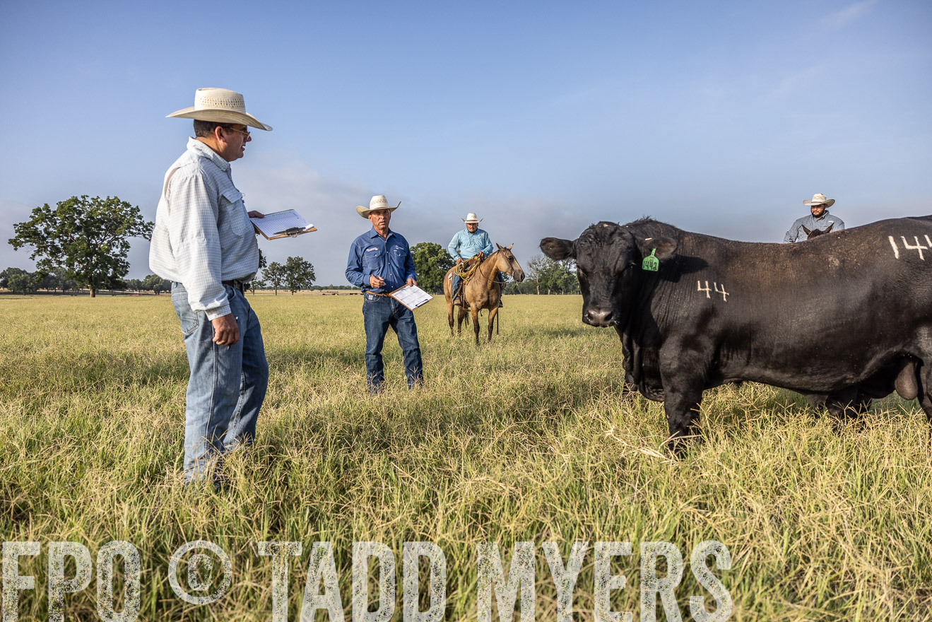 TMyers_44Farms_CameronTX_July2022--523000