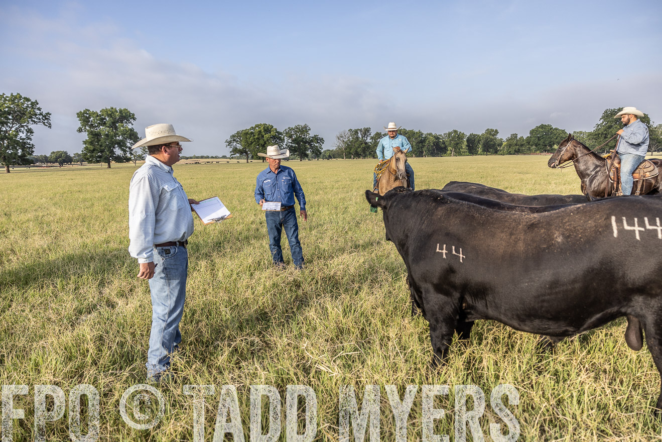 TMyers_44Farms_CameronTX_July2022--523016