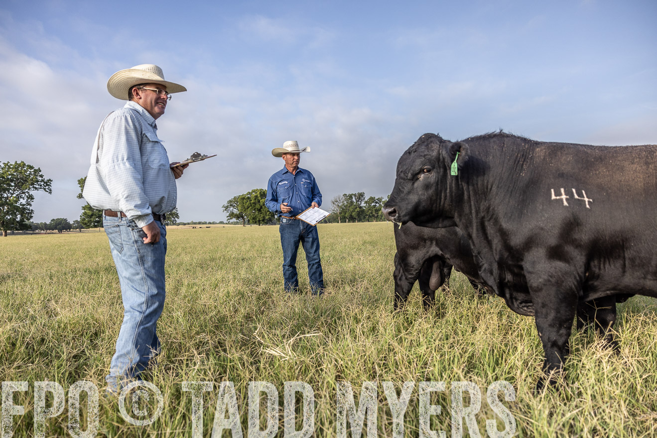 TMyers_44Farms_CameronTX_July2022--523020