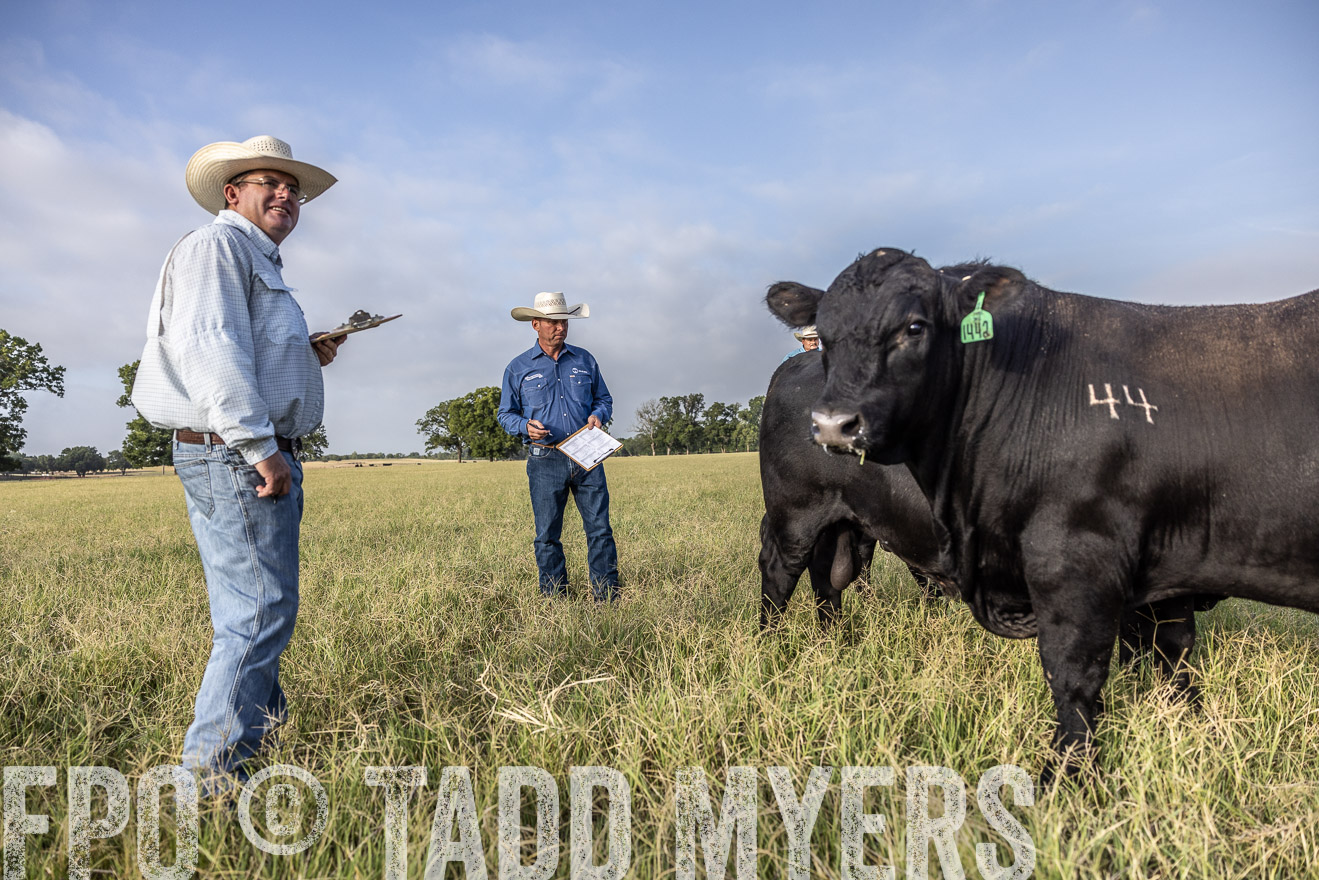 TMyers_44Farms_CameronTX_July2022--523022