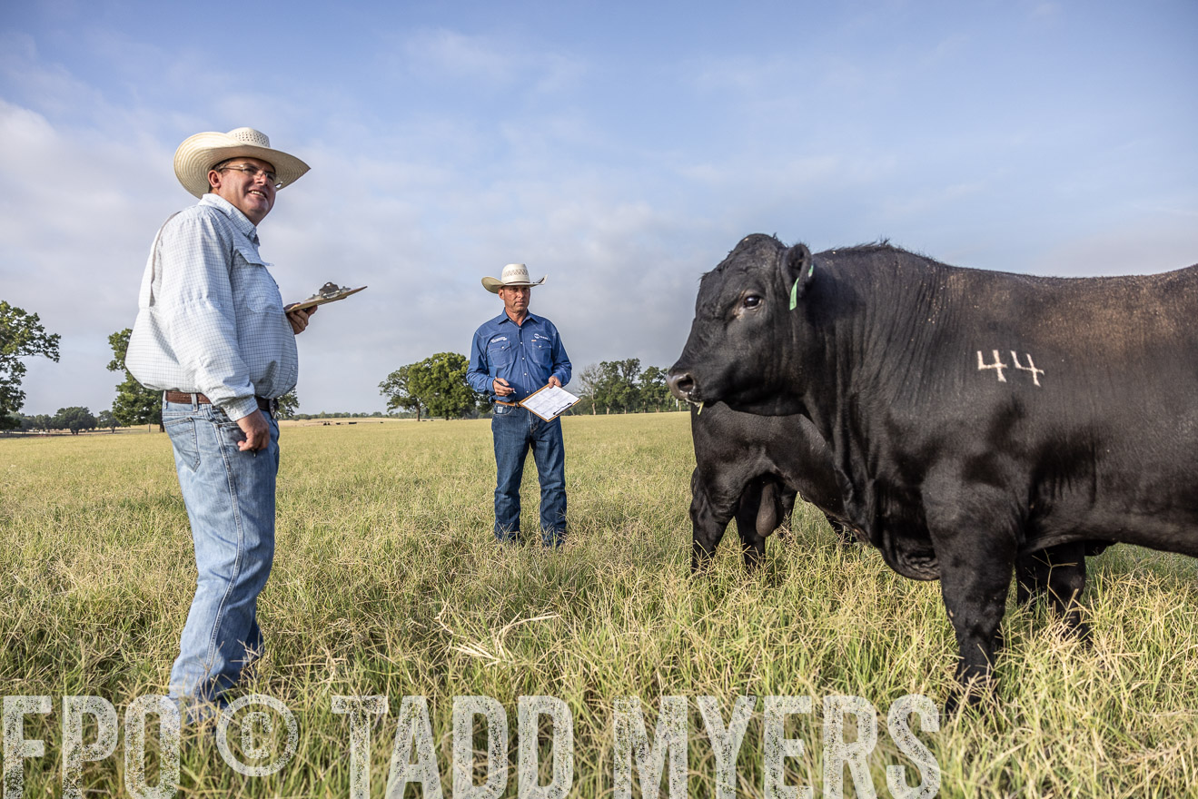 TMyers_44Farms_CameronTX_July2022--523025