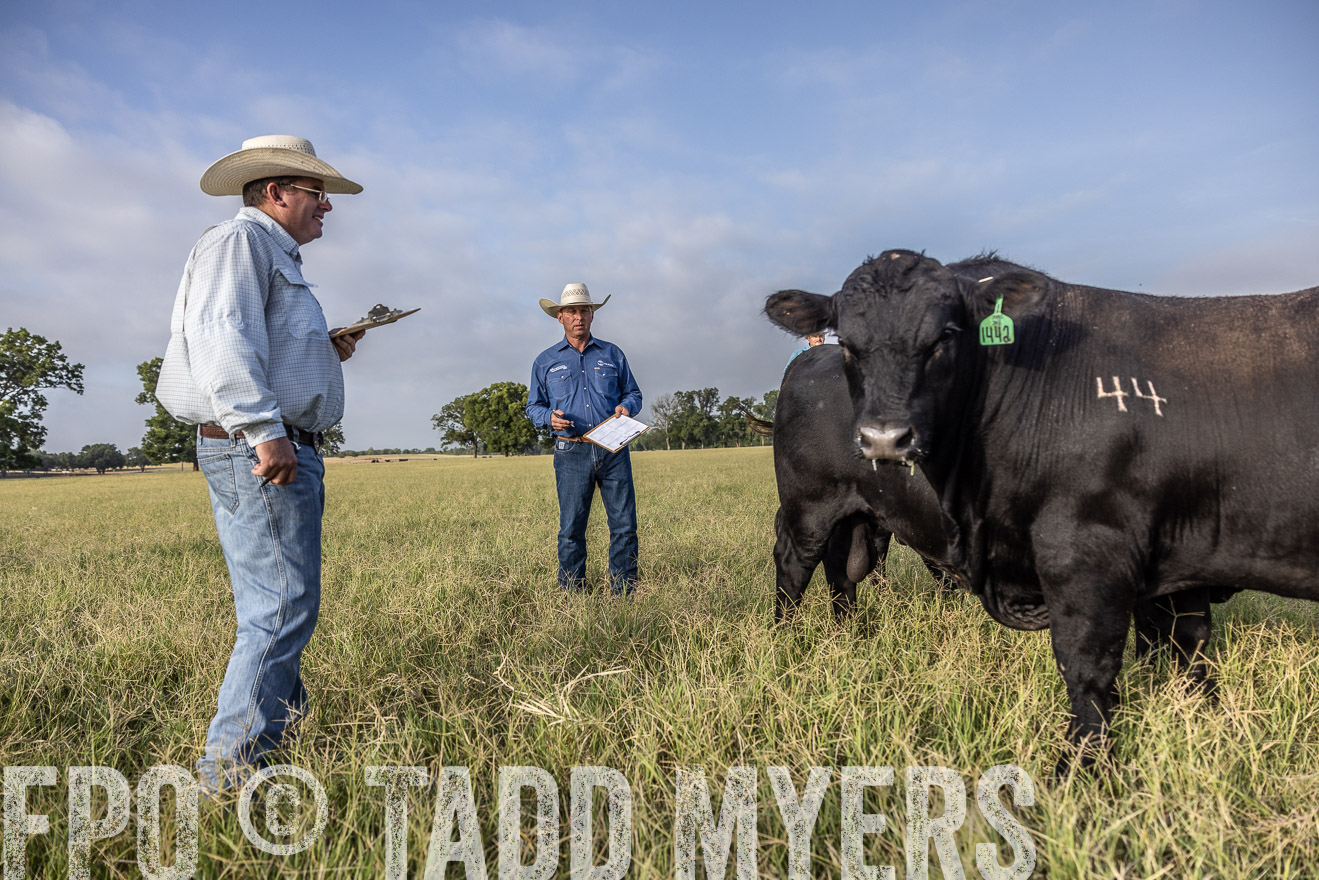 TMyers_44Farms_CameronTX_July2022--523026