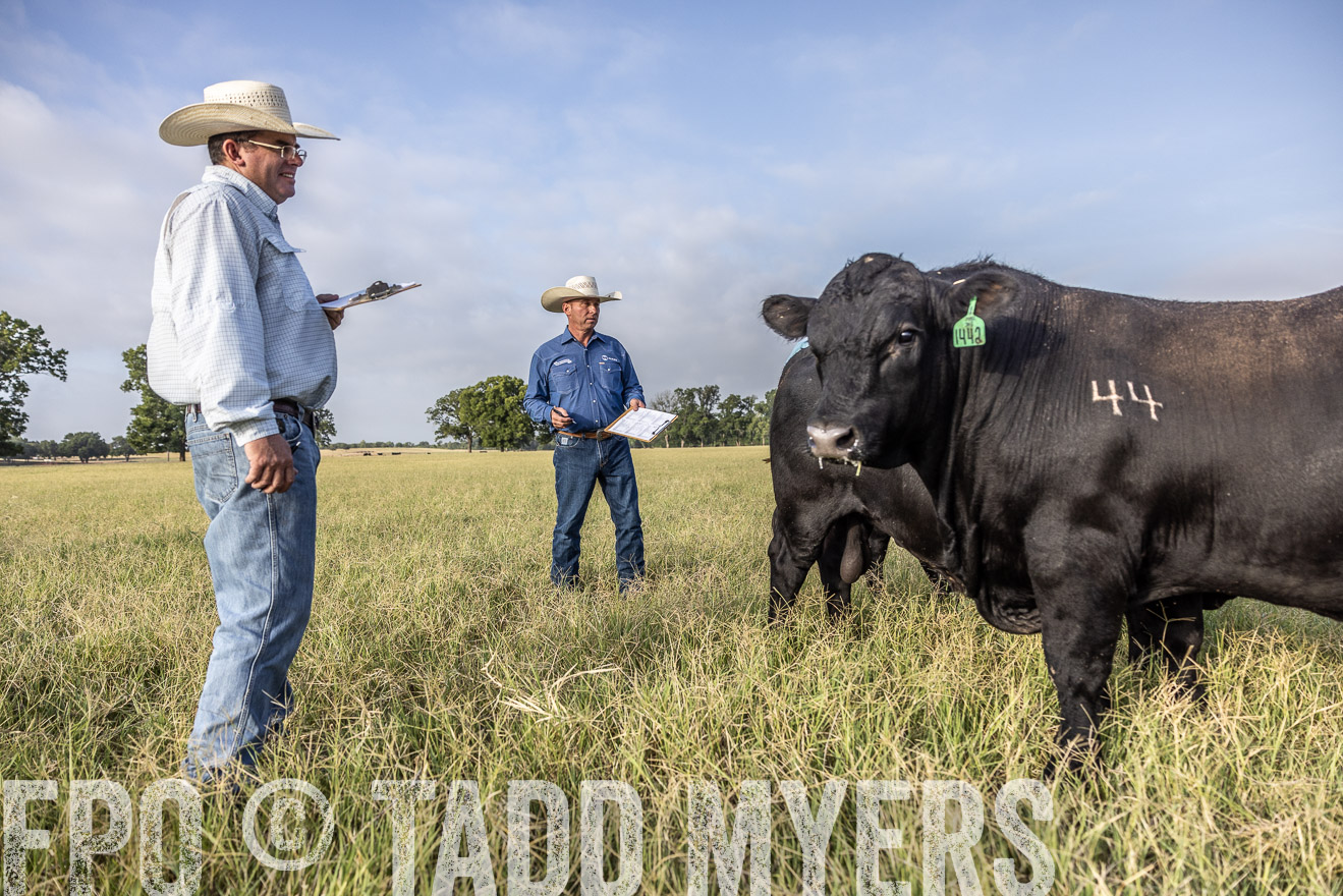 TMyers_44Farms_CameronTX_July2022--523027