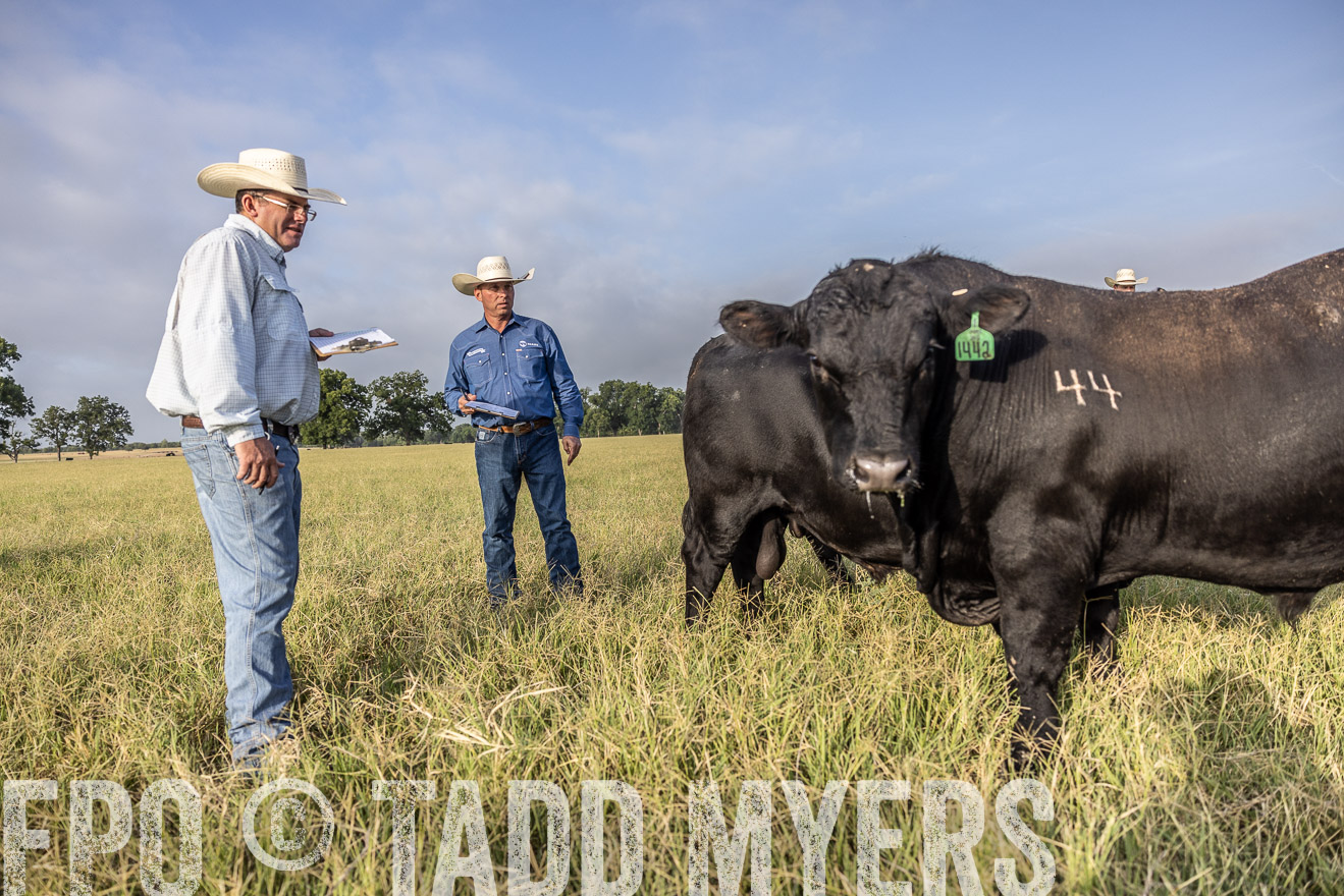TMyers_44Farms_CameronTX_July2022--523031
