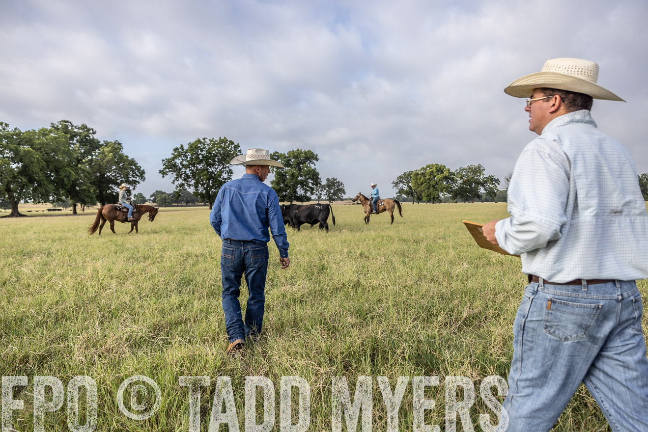 TMyers_44Farms_CameronTX_July2022--523051