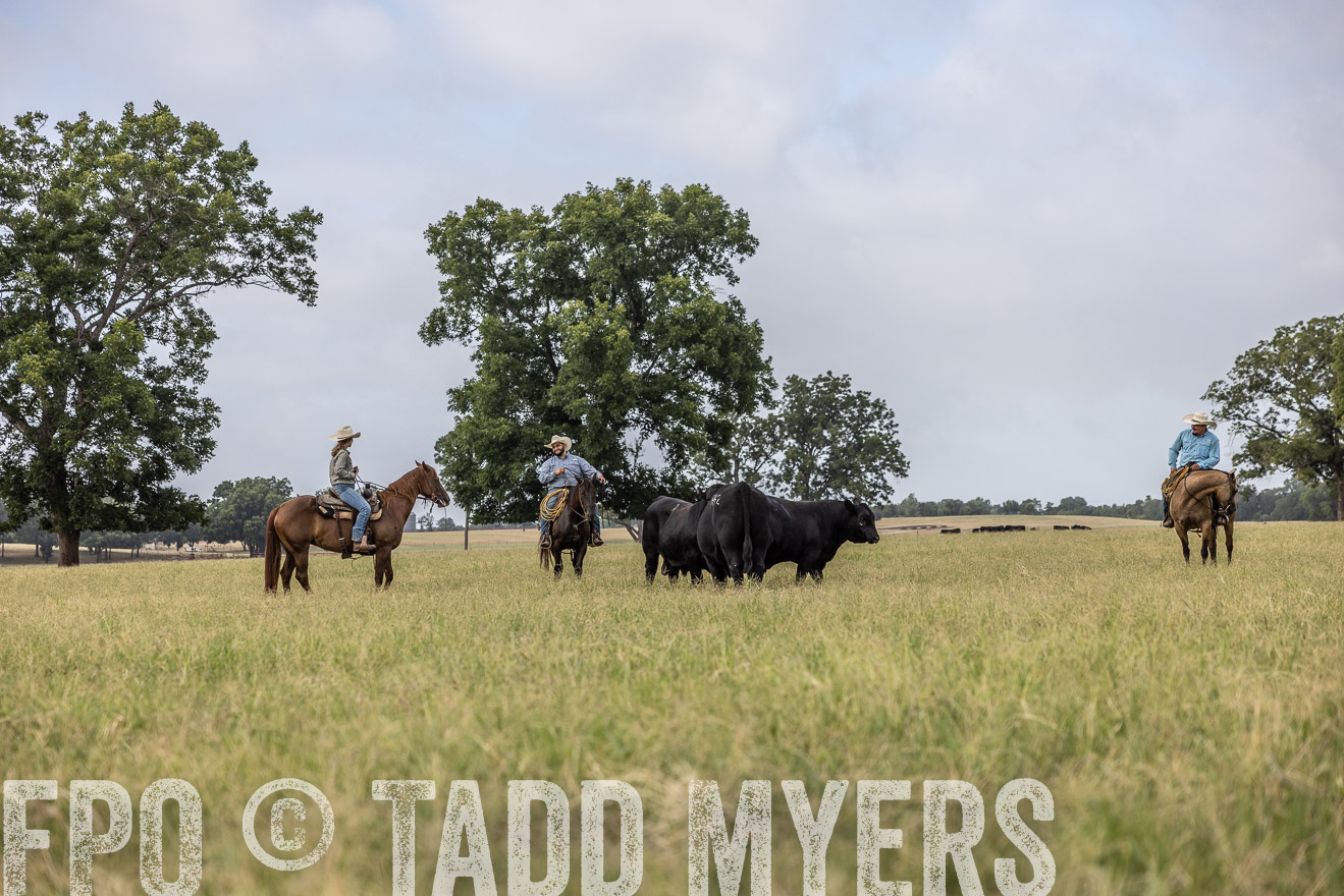 TMyers_44Farms_CameronTX_July2022--523062