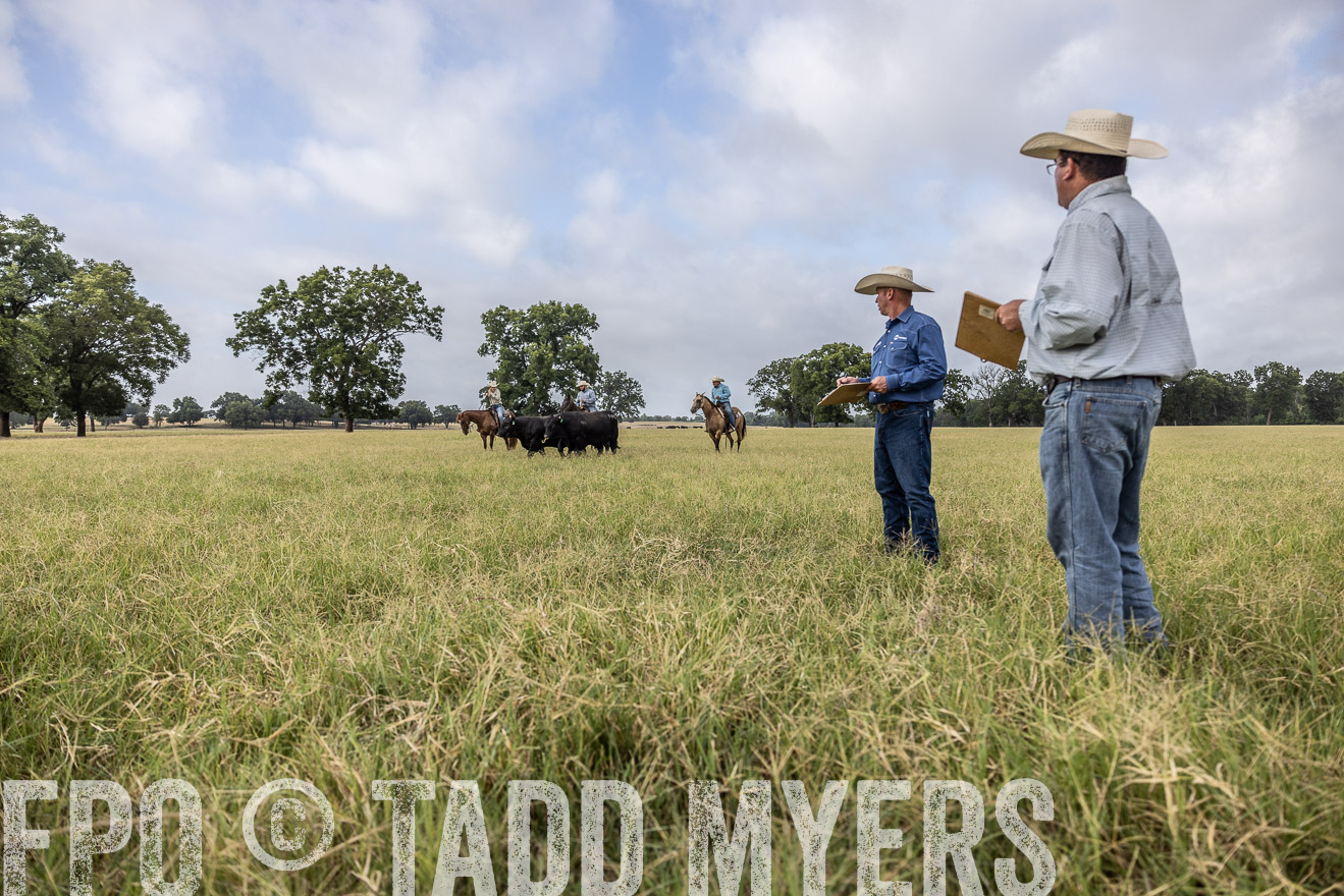TMyers_44Farms_CameronTX_July2022--523065