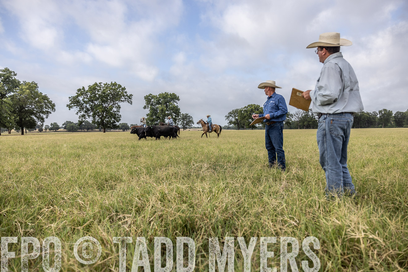 TMyers_44Farms_CameronTX_July2022--523066