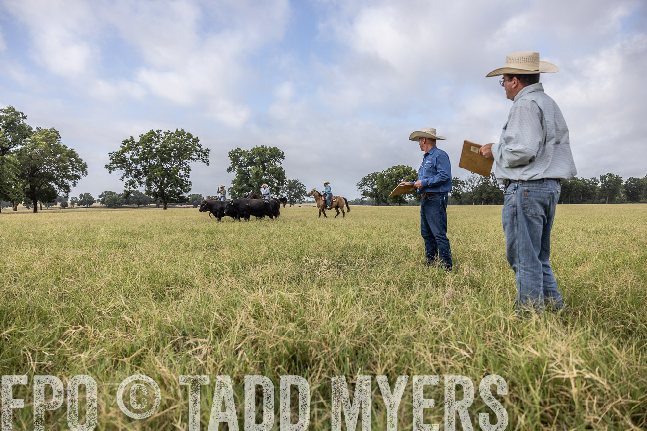 TMyers_44Farms_CameronTX_July2022--523067