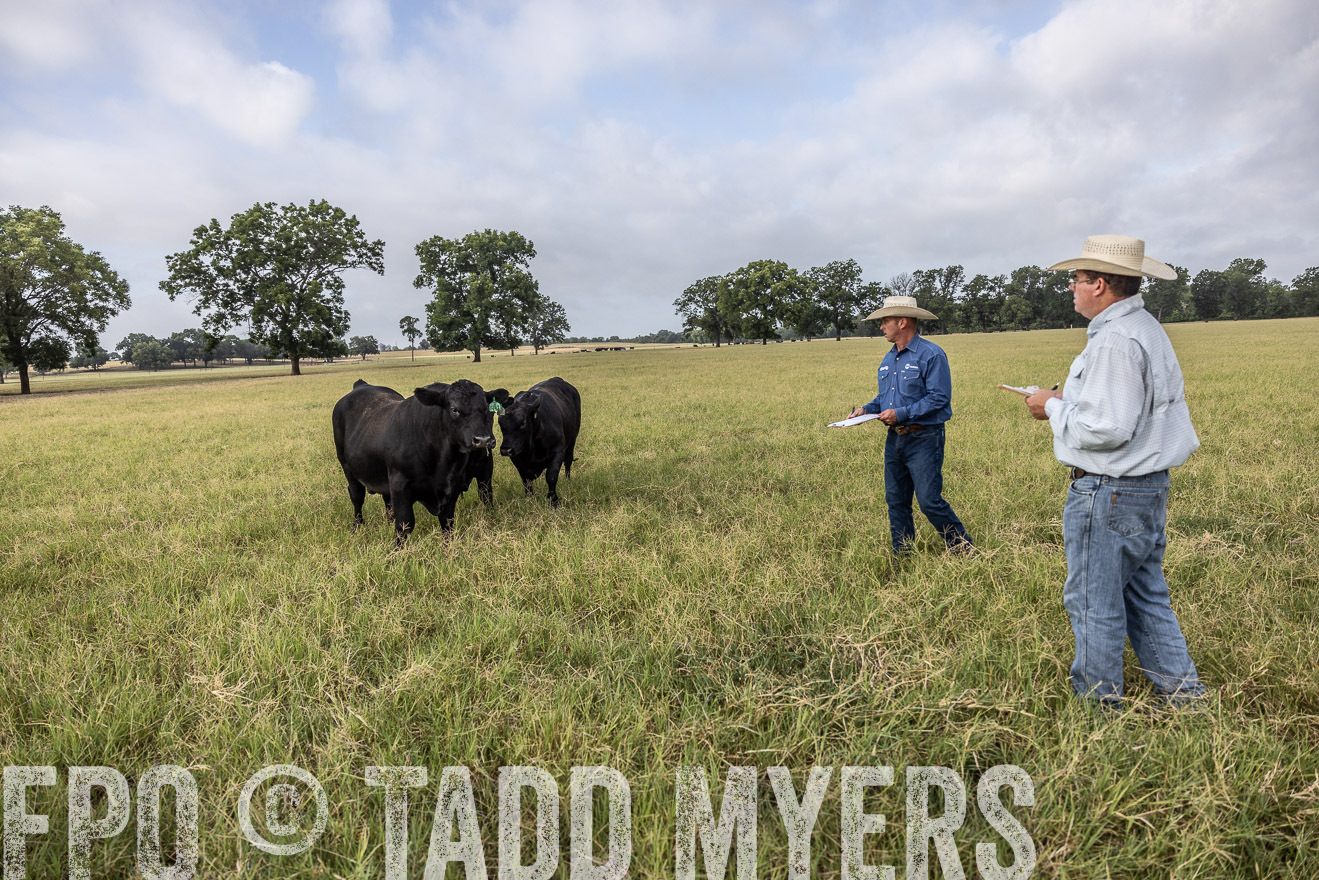 TMyers_44Farms_CameronTX_July2022--523071