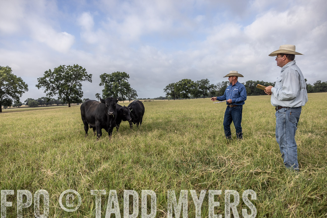 TMyers_44Farms_CameronTX_July2022--523072