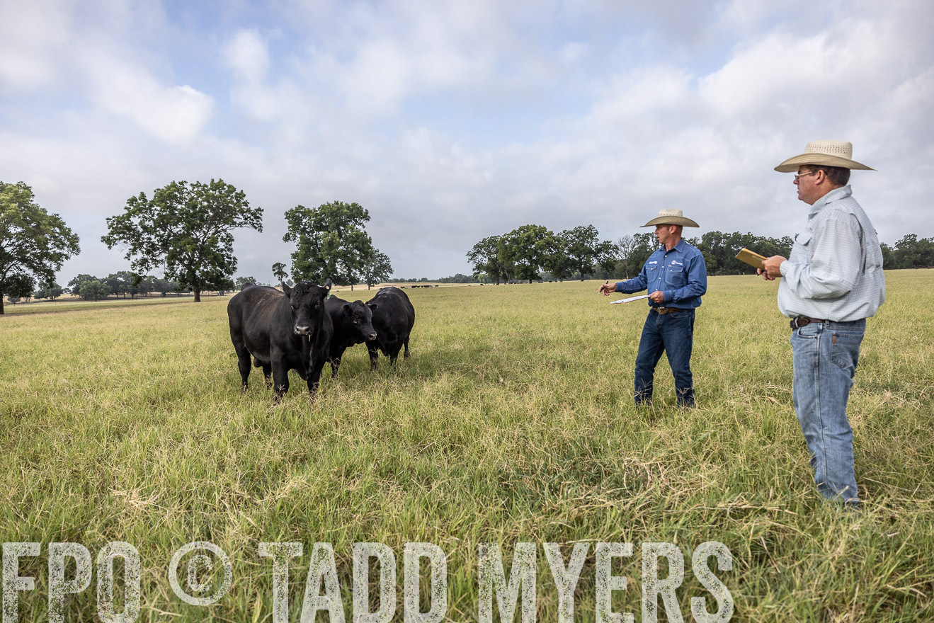 TMyers_44Farms_CameronTX_July2022--523073