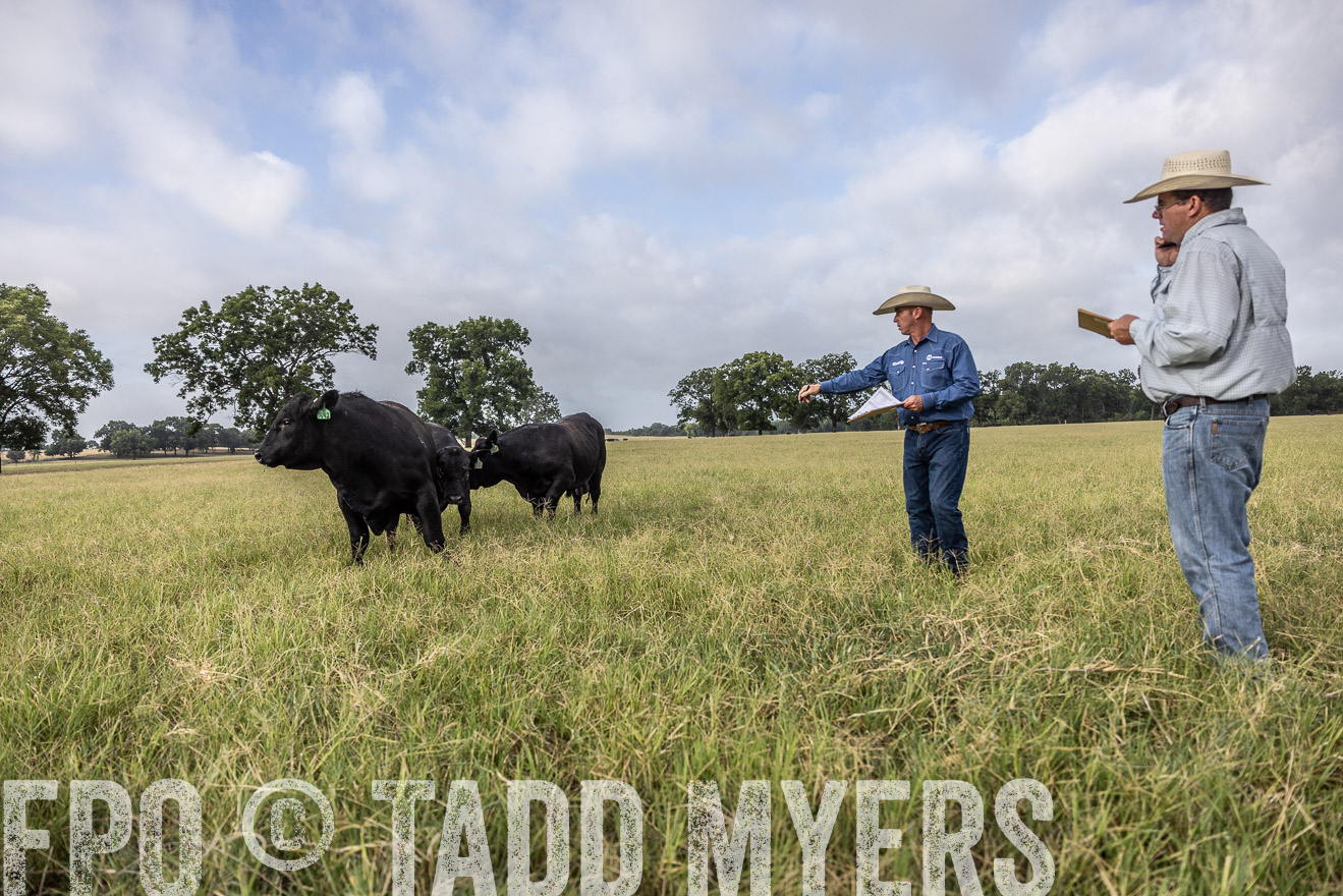 TMyers_44Farms_CameronTX_July2022--523074