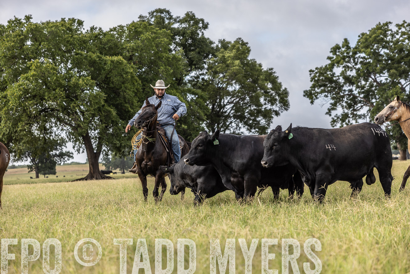 TMyers_44Farms_CameronTX_July2022--523093