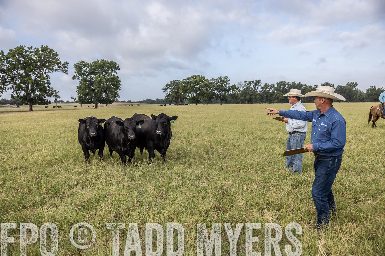 TMyers_44Farms_CameronTX_July2022--523108