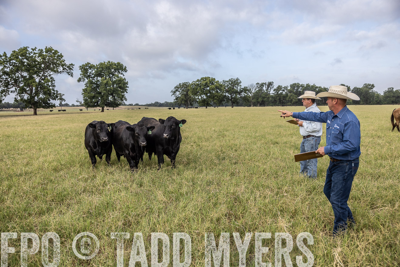 TMyers_44Farms_CameronTX_July2022--523109