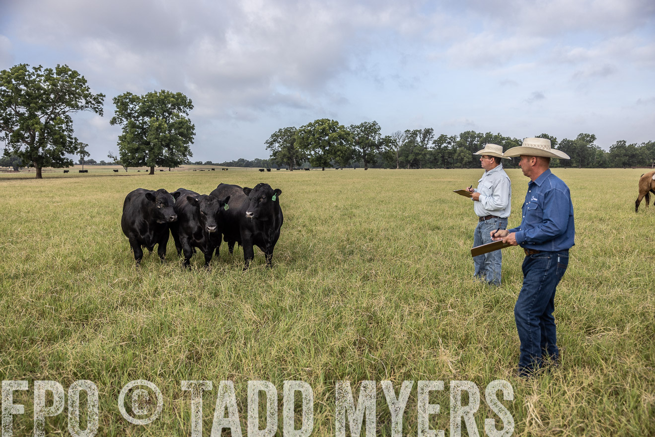 TMyers_44Farms_CameronTX_July2022--523110