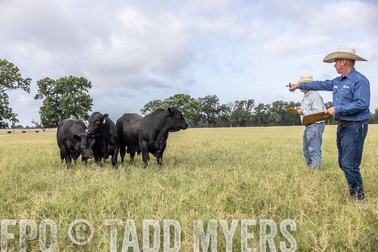 TMyers_44Farms_CameronTX_July2022--523114