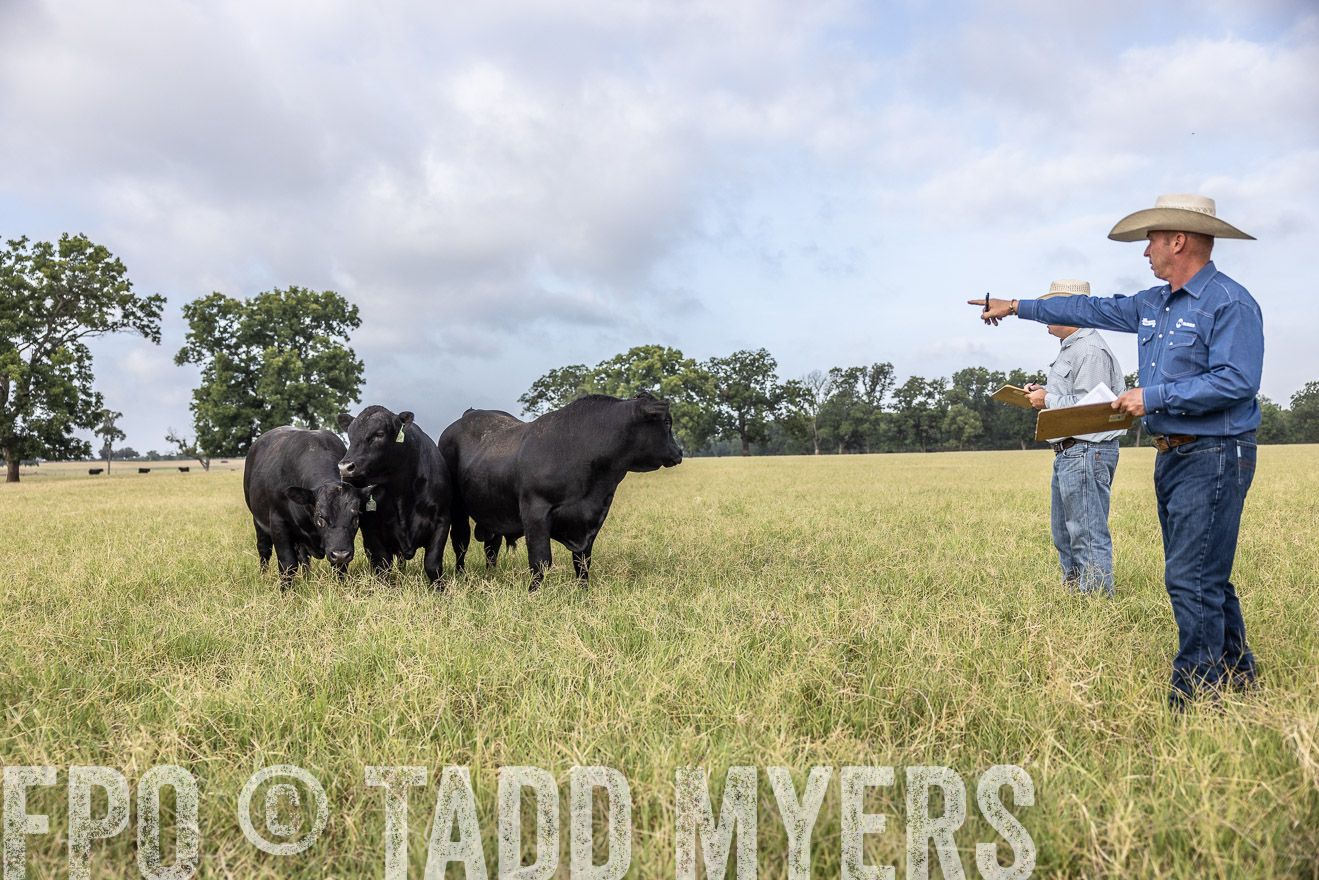 TMyers_44Farms_CameronTX_July2022--523115