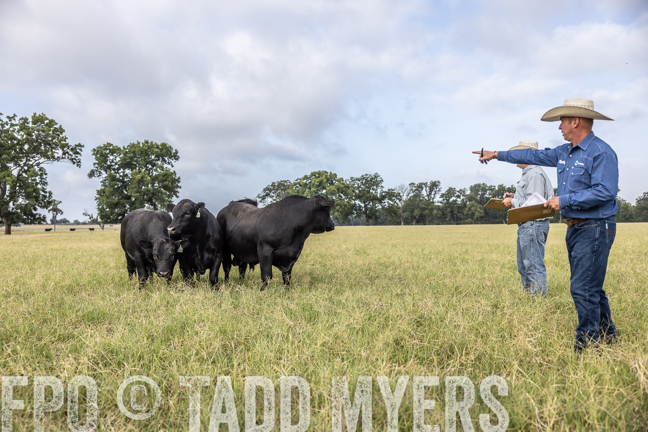 TMyers_44Farms_CameronTX_July2022--523116