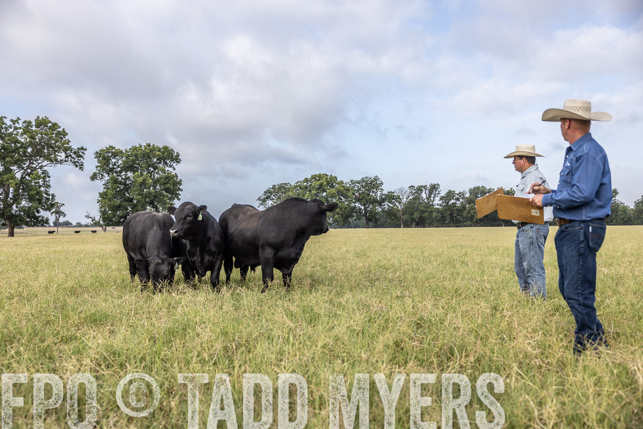 TMyers_44Farms_CameronTX_July2022--523117