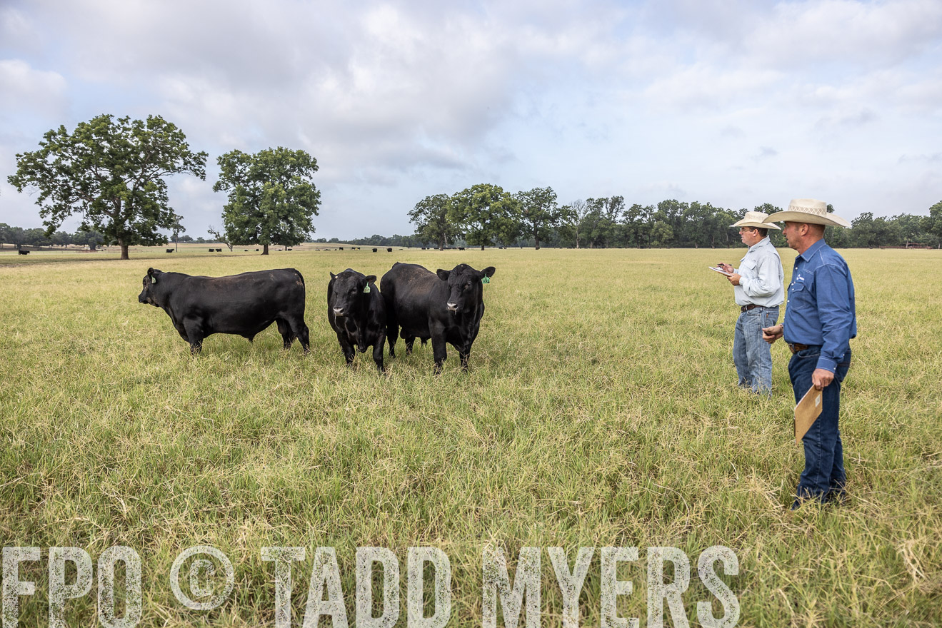 TMyers_44Farms_CameronTX_July2022--523124