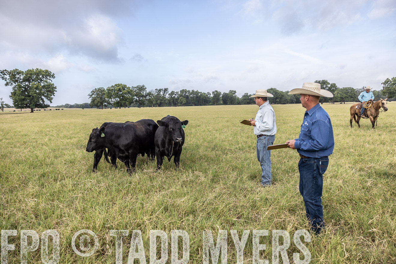 TMyers_44Farms_CameronTX_July2022--523129