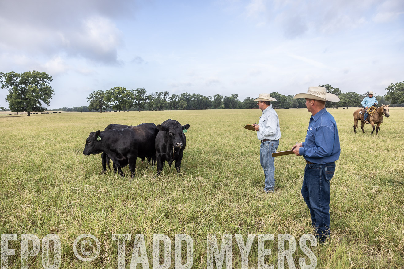 TMyers_44Farms_CameronTX_July2022--523130