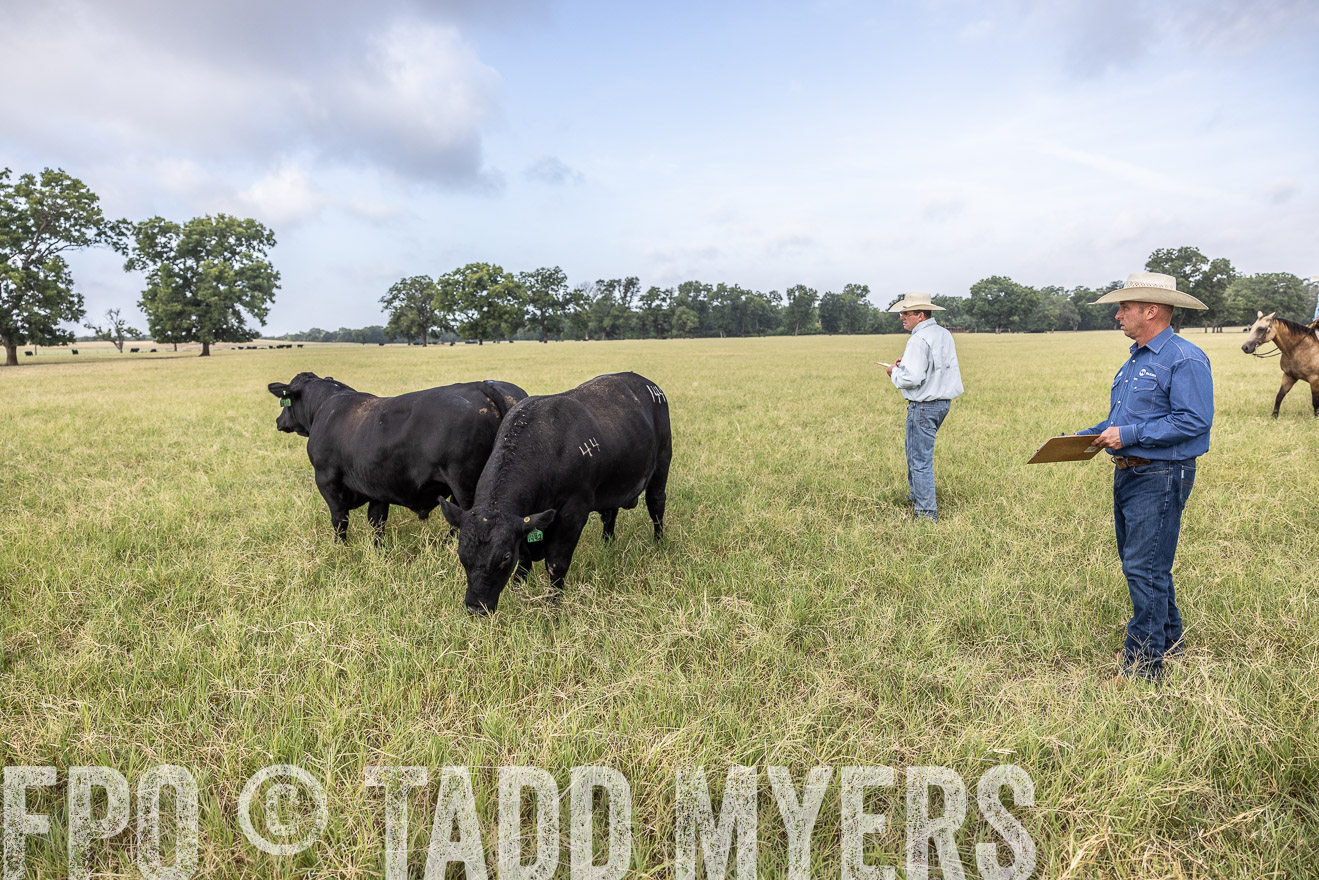 TMyers_44Farms_CameronTX_July2022--523135