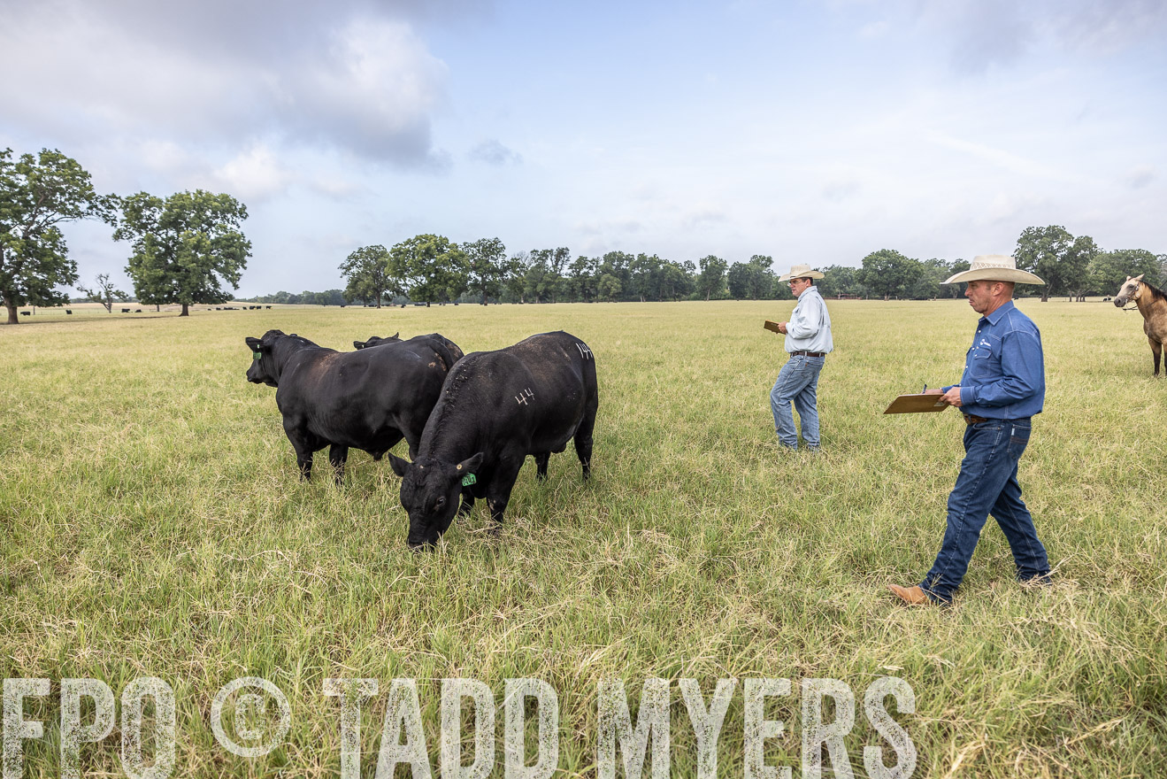 TMyers_44Farms_CameronTX_July2022--523137