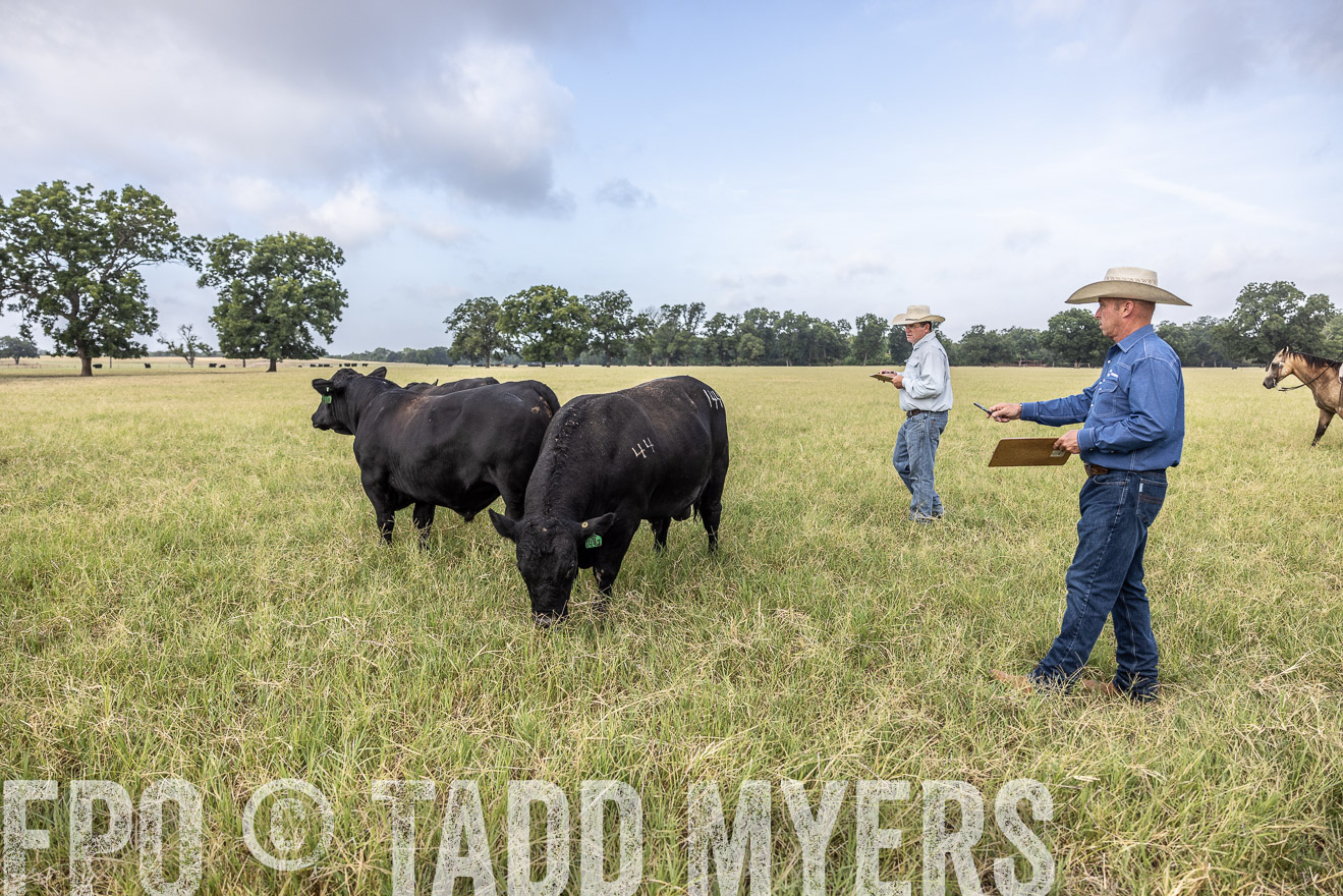 TMyers_44Farms_CameronTX_July2022--523138