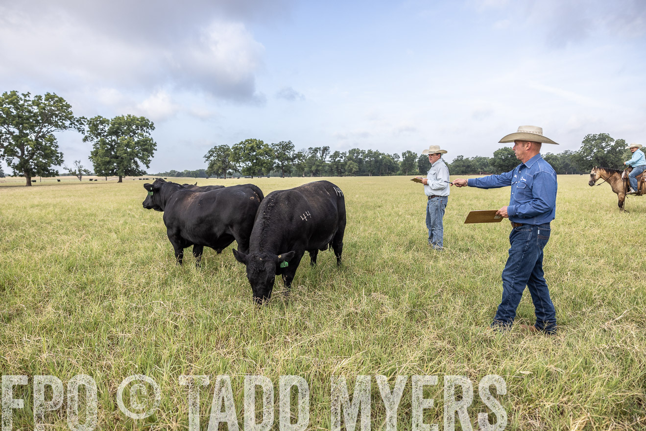 TMyers_44Farms_CameronTX_July2022--523139