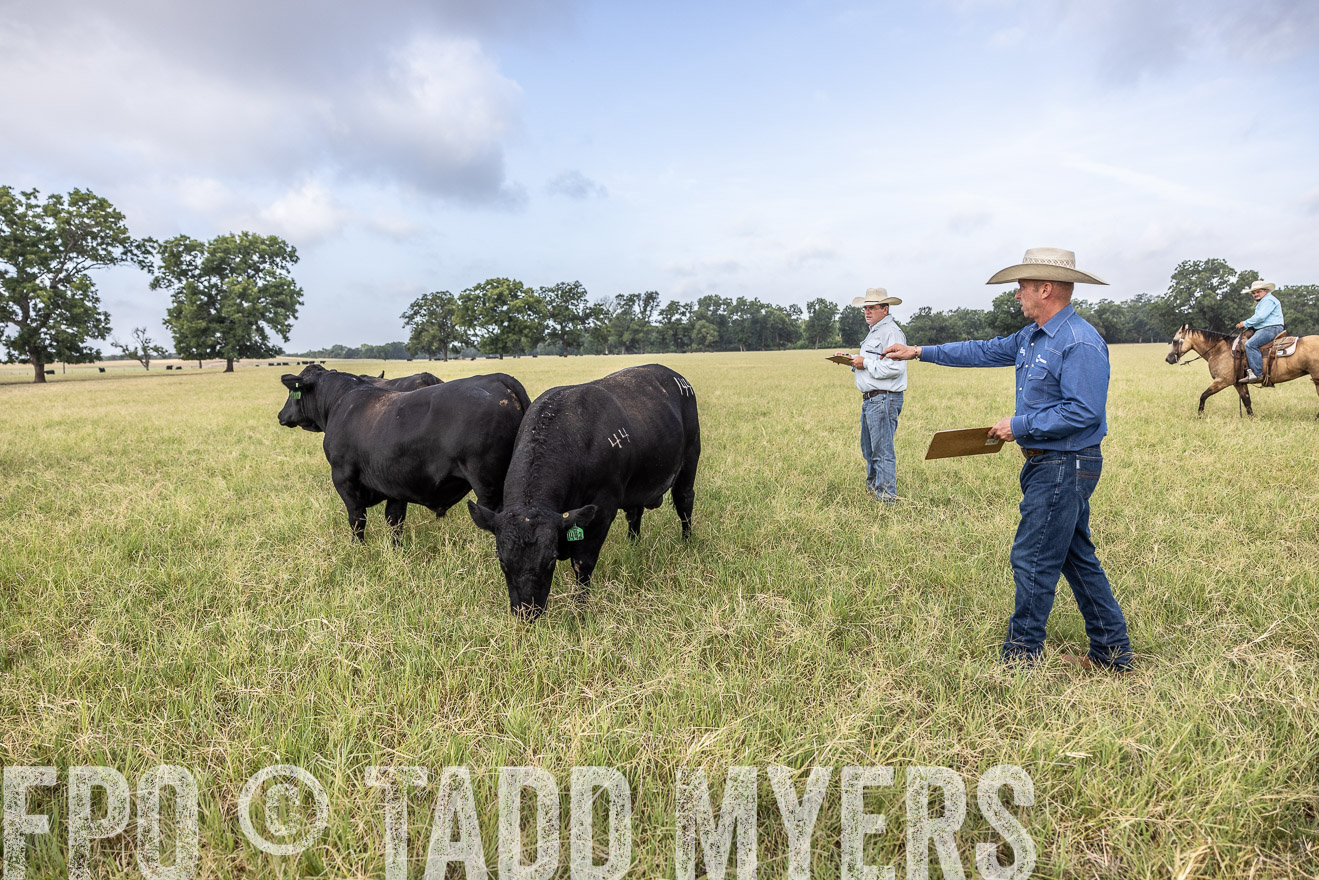 TMyers_44Farms_CameronTX_July2022--523140