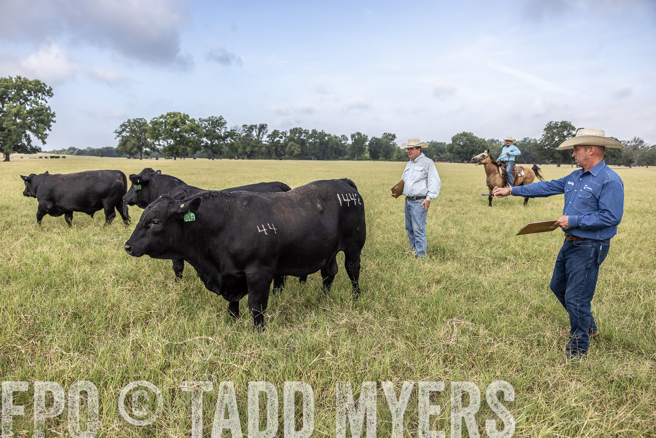 TMyers_44Farms_CameronTX_July2022--523148