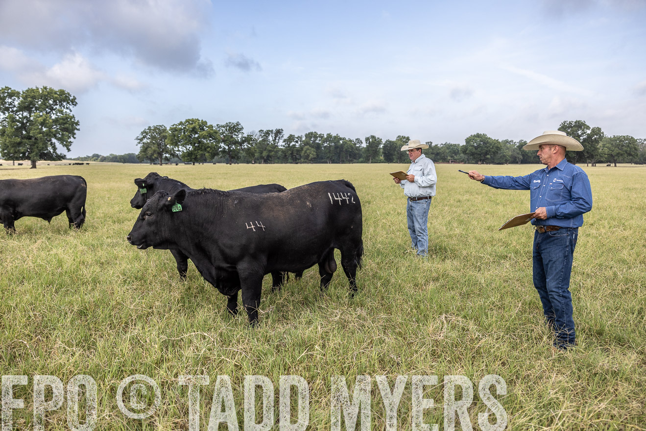 TMyers_44Farms_CameronTX_July2022--523155