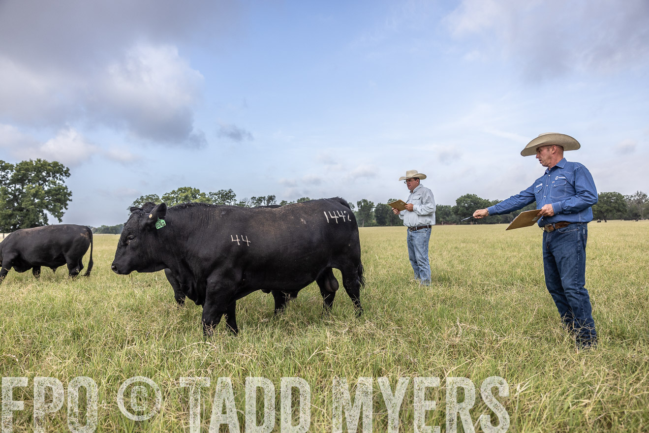 TMyers_44Farms_CameronTX_July2022--523156