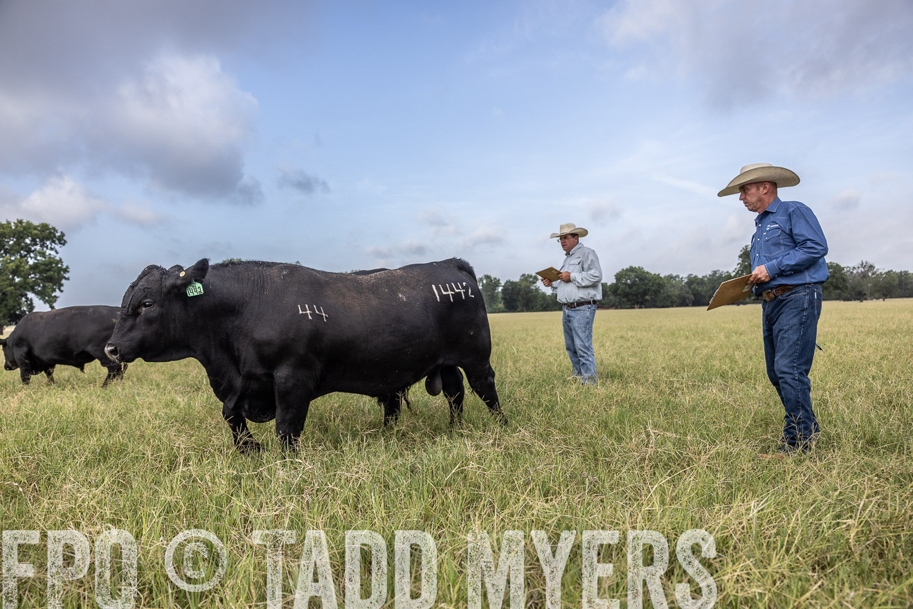 TMyers_44Farms_CameronTX_July2022--523158