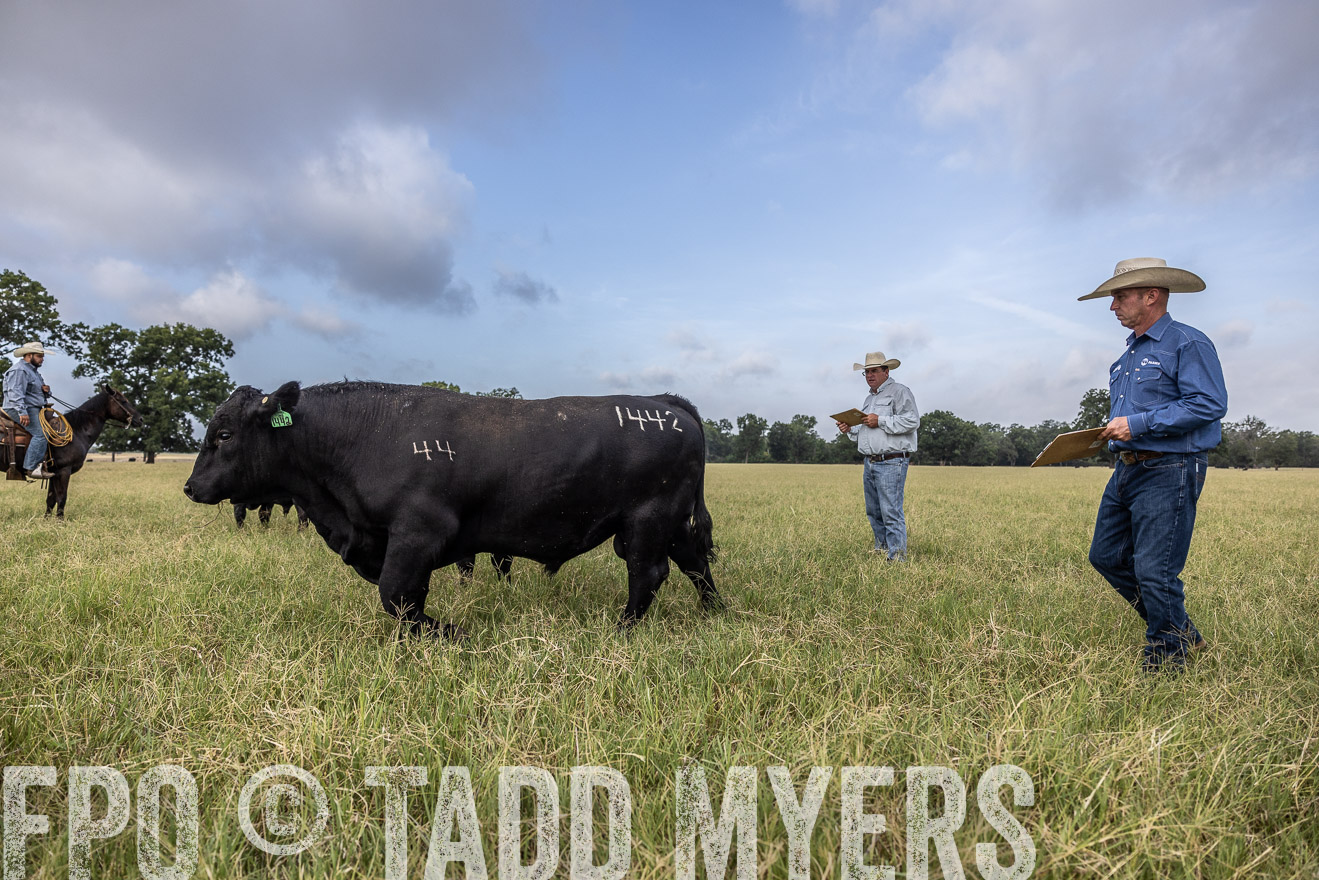 TMyers_44Farms_CameronTX_July2022--523161