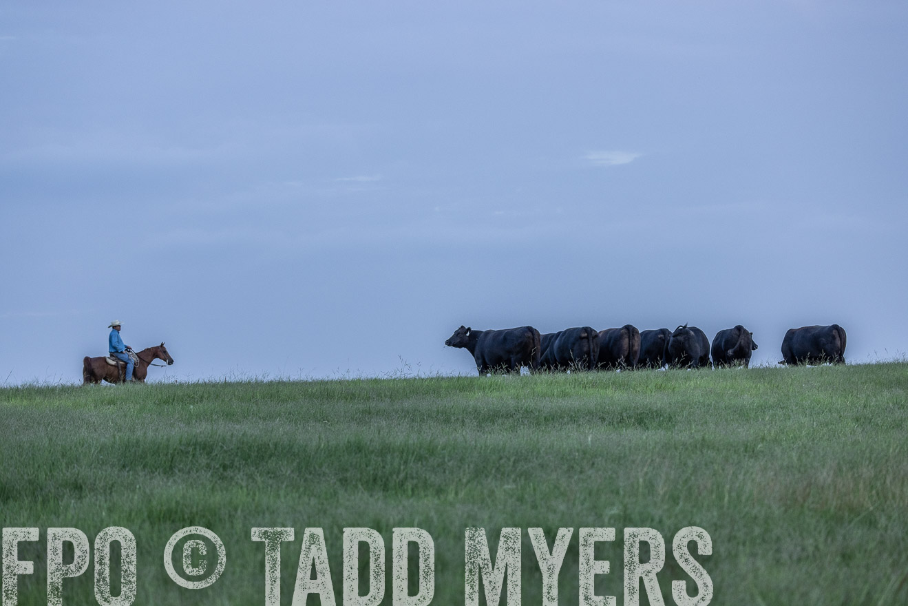 TMyers_44Farms_CameronTX_July2022--523770